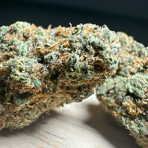Chocolope