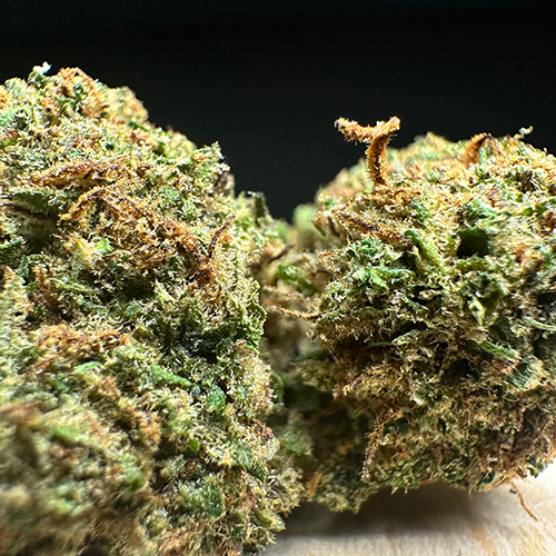Orange cherry THV